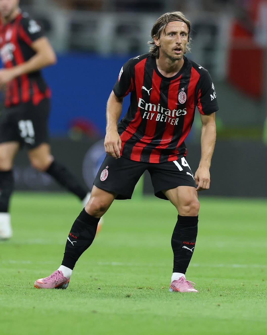 盛情款待, 在圣西罗给, 盛情款待