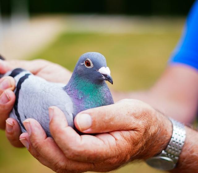 的外形, 这话真不假